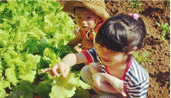 幼兒勞動(dòng)教育的實(shí)踐探索