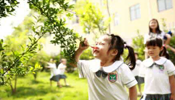 綠色教育觀(guān)念打造品牌幼兒園