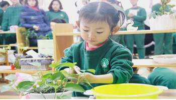 幼兒園實(shí)施創(chuàng  )新教育，培養幼兒創(chuàng  )新能力。