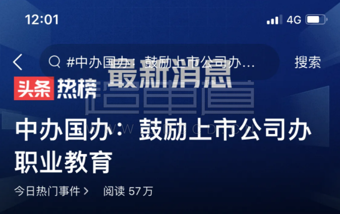 鼓勵上市公司辦職業(yè)教育